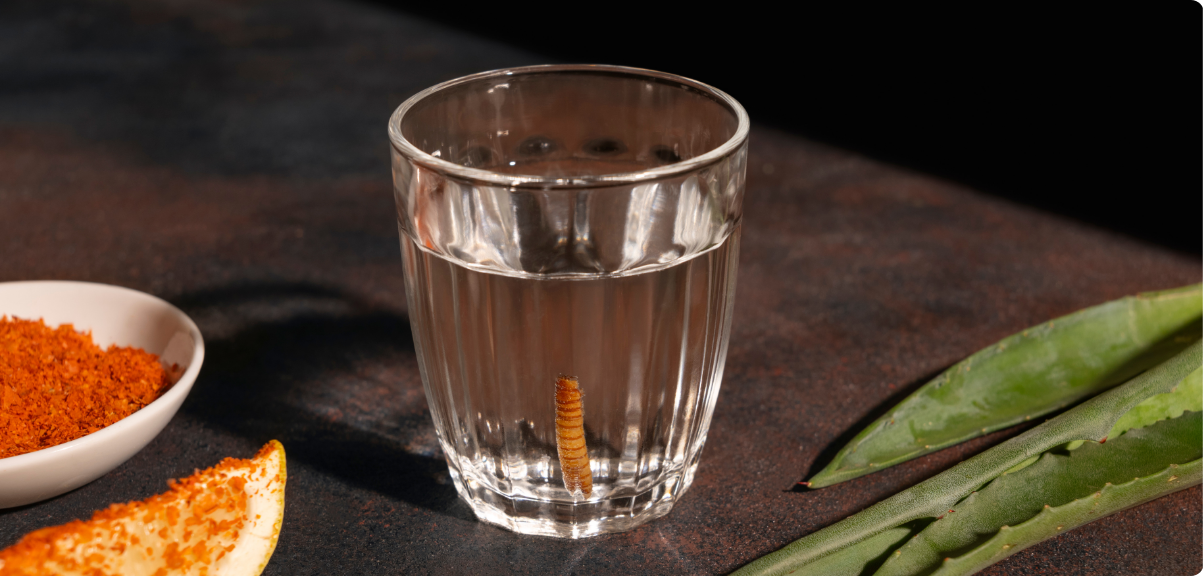 3 Fakta Mengapa Vodka Lebih Menghangatkan Badan Daripada Coklat Panas Saat Malam Perayaan Natal yang Dingin